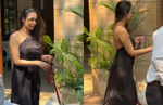 Malaika Arora turns up the heat in a backless black dress, hot video goes viral